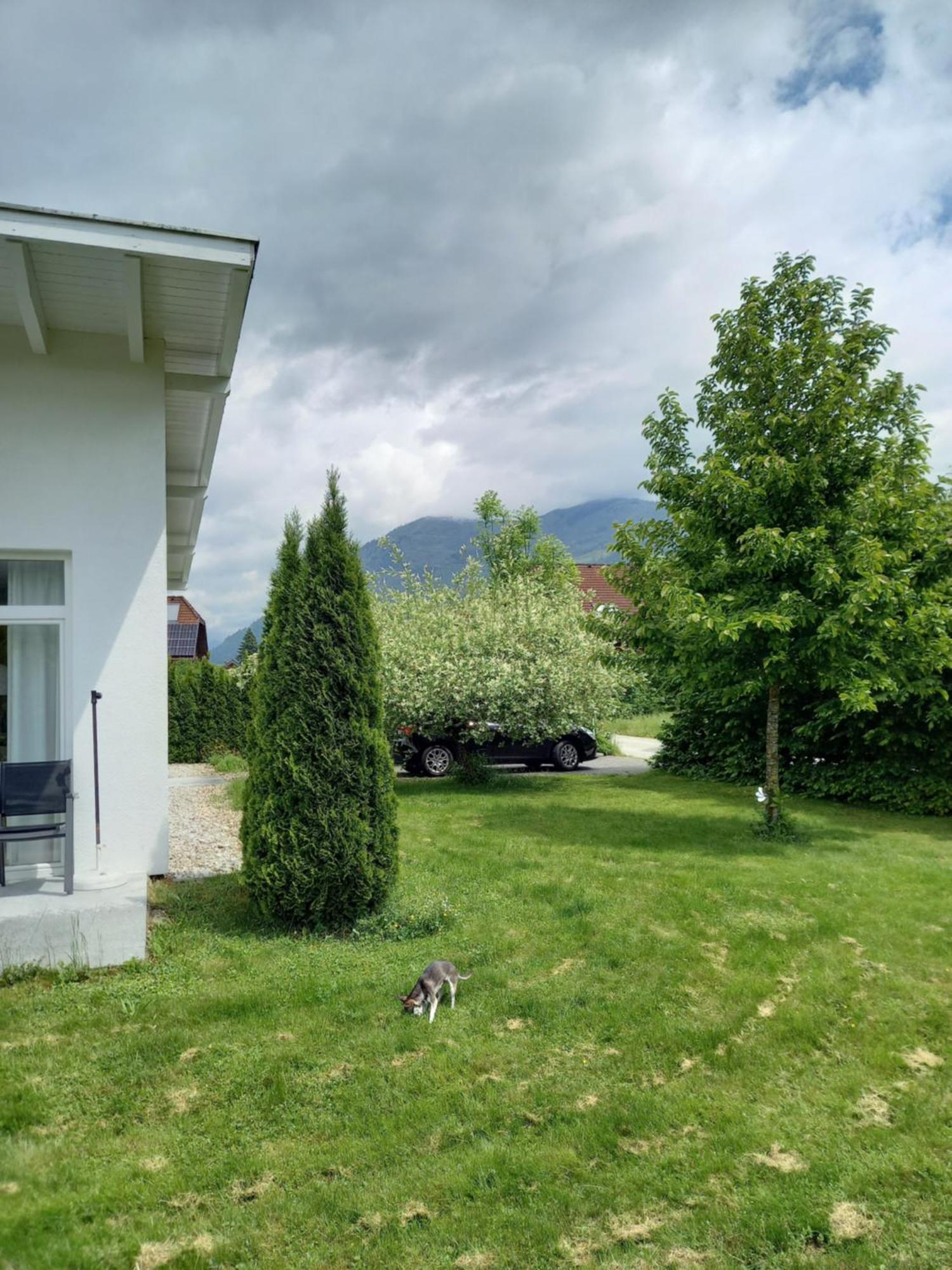 Flores, Ferienhaus Oder Doppelzimmer, Im Gruenen, 5 Gehminuten Ins Zentrum, Parkplatz, Zero Emissions Bad Ischl Extérieur photo