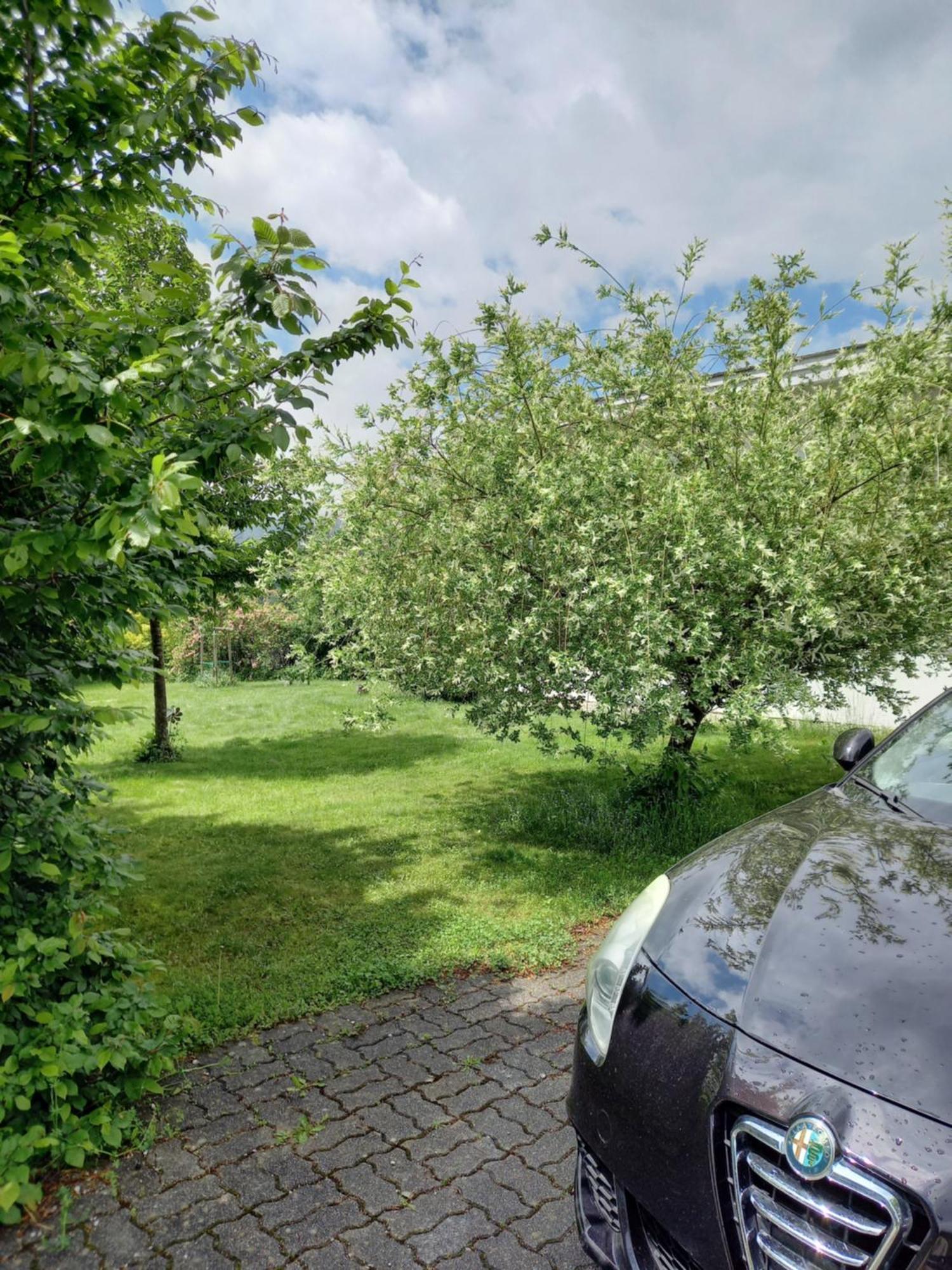 Flores, Ferienhaus Oder Doppelzimmer, Im Gruenen, 5 Gehminuten Ins Zentrum, Parkplatz, Zero Emissions Bad Ischl Extérieur photo